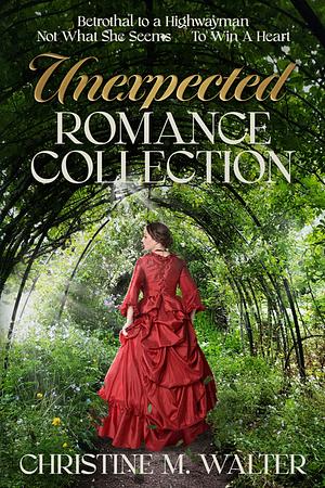 Unexpected Romance Collection by Christine M. Walter