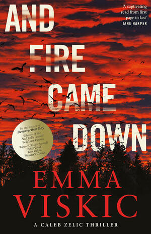 And Fire Came Down by Emma Viskic