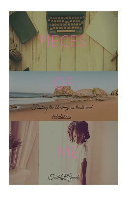 Pieces of Me by Amber Kizer