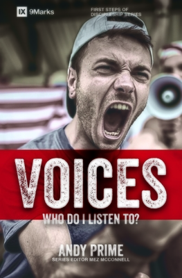Voices: Who Am I Listening To? by Andy Prime