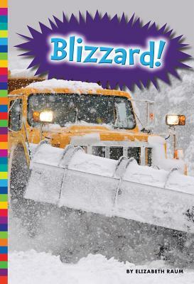 Blizzard! by Elizabeth Raum