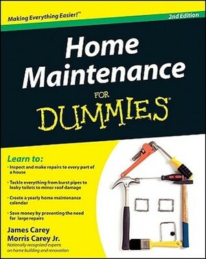 Home Maintenance for Dummies, 2nd Edition by James Carey, Morris Carey