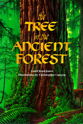 The Tree in the Ancient Forest by Carol Reed-Jones