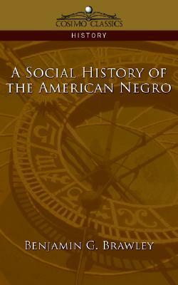 A Social History of the American Negro by Benjamin Griffith Brawley