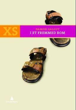 I et fremmed rom by Damon Galgut, Johanne Fronth-Nygren