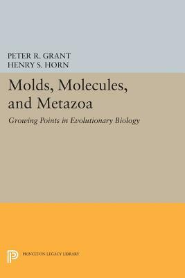 Molds, Molecules, and Metazoa: Growing Points in Evolutionary Biology by 