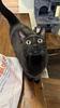 eman22712's profile picture