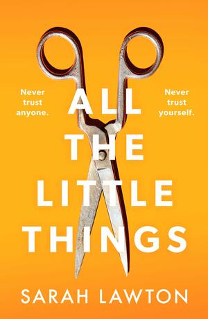 All The Little Things by Sarah Lawton