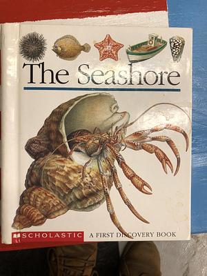 The Seashore by Gallimard Jeunesse, Elisabeth Cohat