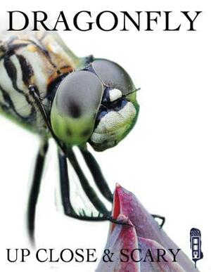 Dragonfly by David Miller