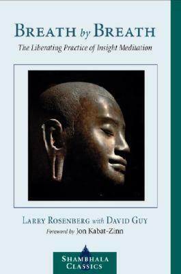 Breath by Breath: The Liberating Practice of Insight Meditation by David Guy, Larry Rosenberg