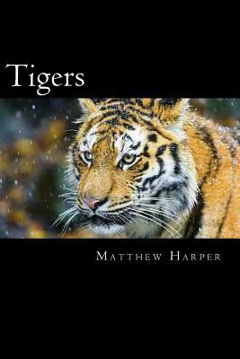 Tigers: A Fascinating Book Containing Tiger Facts, Trivia, Images & Memory Recall Quiz: Suitable for Adults & Children by Matthew Harper