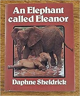 An Elephant Called Eleanor by Daphne Sheldrick