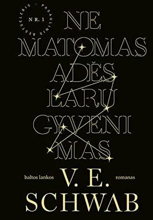 Nematomas Adės Laru gyvenimas by V.E. Schwab