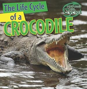 The Life Cycle of a Crocodile by Barbara M. Linde