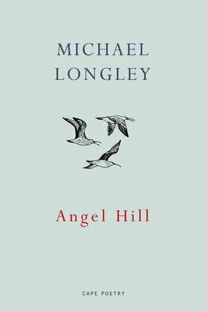 Angel Hill by Michael Longley