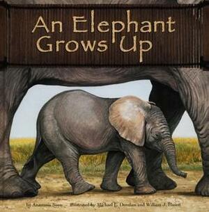 An Elephant Grows Up by Anastasia Suen