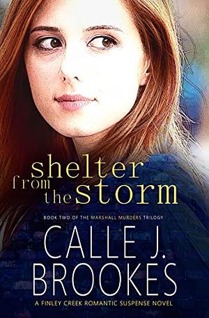 Shelter from the Storm by Calle J. Brookes