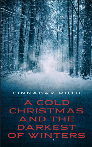 A Cold Christmas and the Darkest of Winters by Rasta Musick