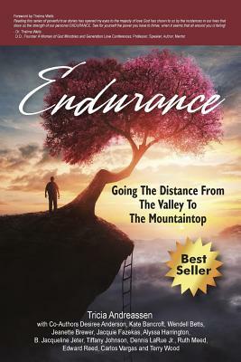 Endurance: Going The Distance From The Valley To The Mountaintop by Tricia Andreassen