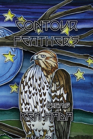 Contour Feathers by Ken Hada