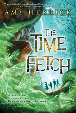 The Time Fetch by Amy Herrick