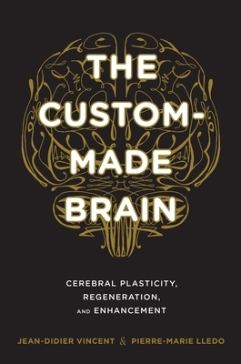The Custom-Made Brain: Cerebral Plasticity, Regeneration, and Enhancement by Jean-Didier Vincent, Pierre-Marie Lledo