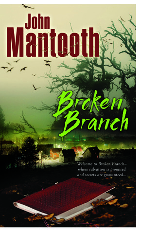 Broken Branch by John Mantooth