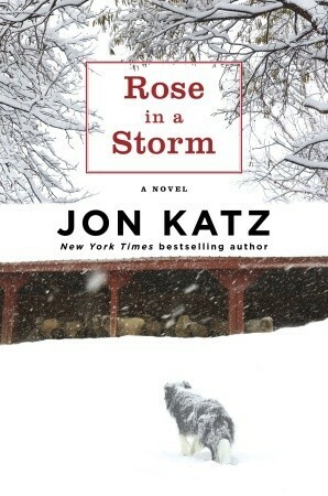 Rose in a Storm by Jon Katz