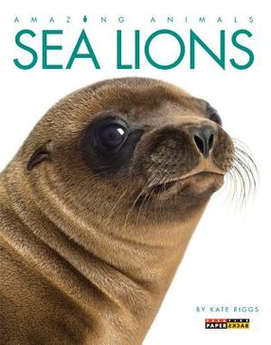 Amazing Animals: Sea Lions by Kate Riggs