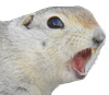 ghostsofthesouthernsong's profile picture