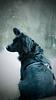 neospace's profile picture