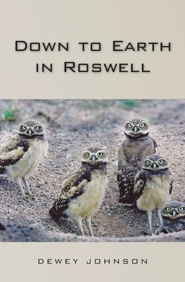 Down to Earth in Roswell by Dewey Johnson