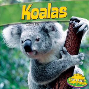 Koalas by Willow Clark