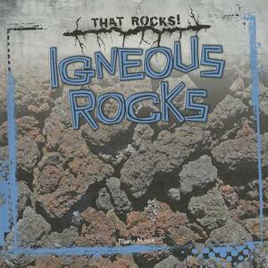 Igneous Rocks by Maria Nelson