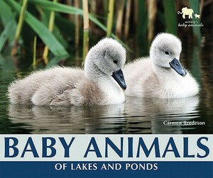 Baby Animals of Lakes and Ponds by Carmen Bredeson