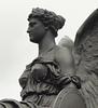 saralynnreads1962's profile picture