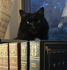 time_traveler's profile picture