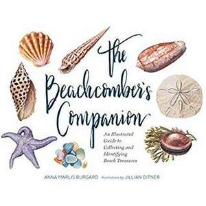 The Beachcomber's Companion: An Illustrated Guide to Collecting and Identifying Beach Treasures (Watercolor Seashell and Shell Collecting Book, Beach Lover Gift) by Jillian Ditner, Anna Burgard