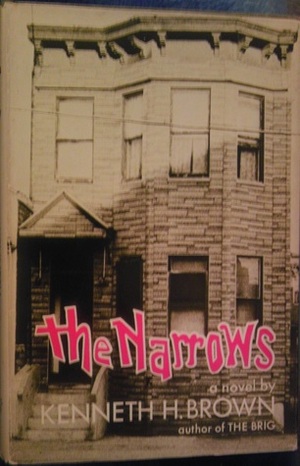 The Narrows by Kenneth H. Brown