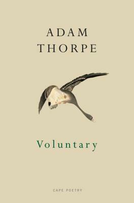 Voluntary by Adam Thorpe