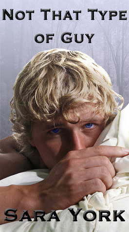 Not That Type of Guy by Sara York