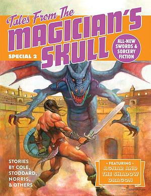 Tales From The Magician's Skull, Special #2 by Howard Andrew Jones
