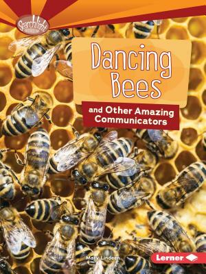 Dancing Bees and Other Amazing Communicators by Mary Lindeen