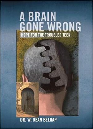 A Brain Gone Wrong Hope For The Troubled Teen by W. Dean Belnap