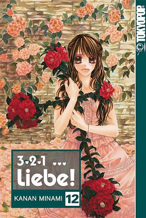 3, 2, 1 .. Liebe!, Band 12 by Kanan Minami