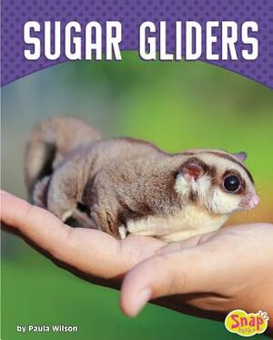 Sugar Gliders by Paula M. Wilson