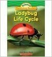 Ladybug Life Cycle by Justin McCory Martin