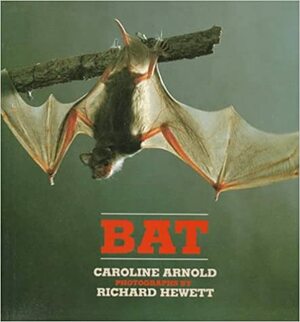 Bat by Caroline Arnold, Richard Hewett