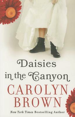 Daisies in the Canyon by Carolyn Brown